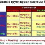 анализ групп крови системы резус-фактор