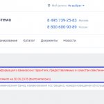 Банковская гарантия по 44-ФЗ: сроки, действия, получение, требования и проверка