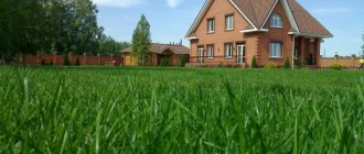 shared ownership of a land plot