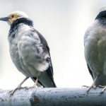 как легче пережить развод с мужем