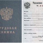 how to obtain a duplicate work book