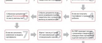 Как получить сертификат на материнский капитал за двойню