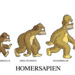 Как составить индивидуальный план развития сотрудника профессионала: пример и образец Как научиться Что такое