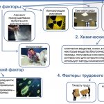 Классификация