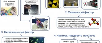 Классификация