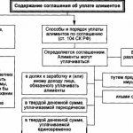 Общий порядок и правила выплаты алиментов на несовершеннолетнего ребенка