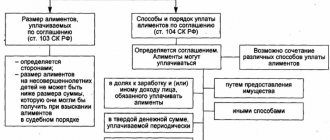Общий порядок и правила выплаты алиментов на несовершеннолетнего ребенка