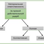 Responsibilities of the financially responsible person