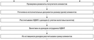 pb_08_алгоритм.png