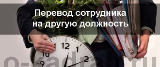перевод сотрудника
