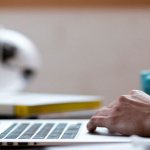 The concept of labor function