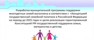 Программа государственной поддержки многодетных семей
