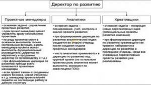 Руководитель по развитию. Руководитель по развитию бизнеса обязанности. Должностная инструкция директора по развитию предприятия. Директор по развитию обязанности. Директор по со обязанности.