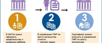 Схема получения маткапитала