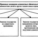 Scheme of legal grounds for challenging paternity (maternity)