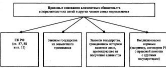 Scheme of legal grounds for challenging paternity (maternity)