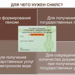 how much does snils take?