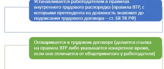 Сколько времени отводится на обед