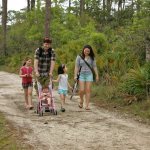 трудовые и социальные льготы многодетному отцу в 2020 году.