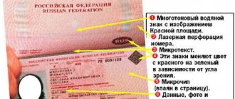 загранпаспорт РФ